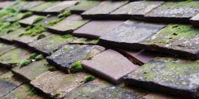 Pitsea roof repair costs